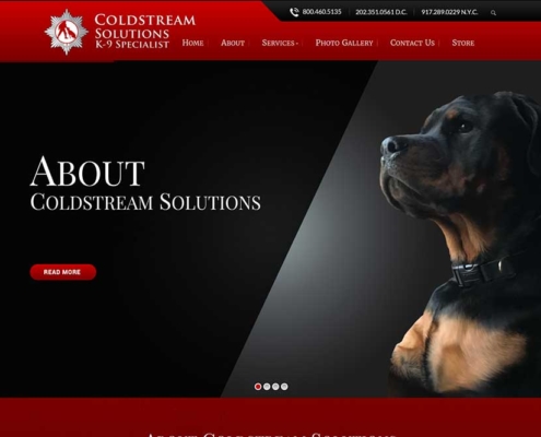 Coldstream Solutions